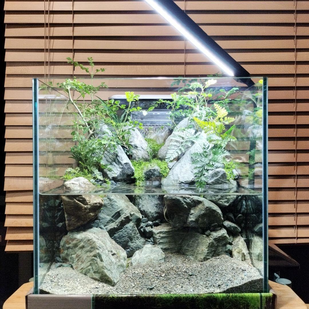 アクアテラリウム完成渓流アクアリウム+テラリウム30cmキューブ水槽