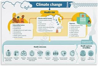 Climate Change Health Risk Chart Climate Change Knowledge Posters Canvas Painting Posters And Prints Wall Art for Living Room Bedroom Decor 18x12inch(45x30cm)