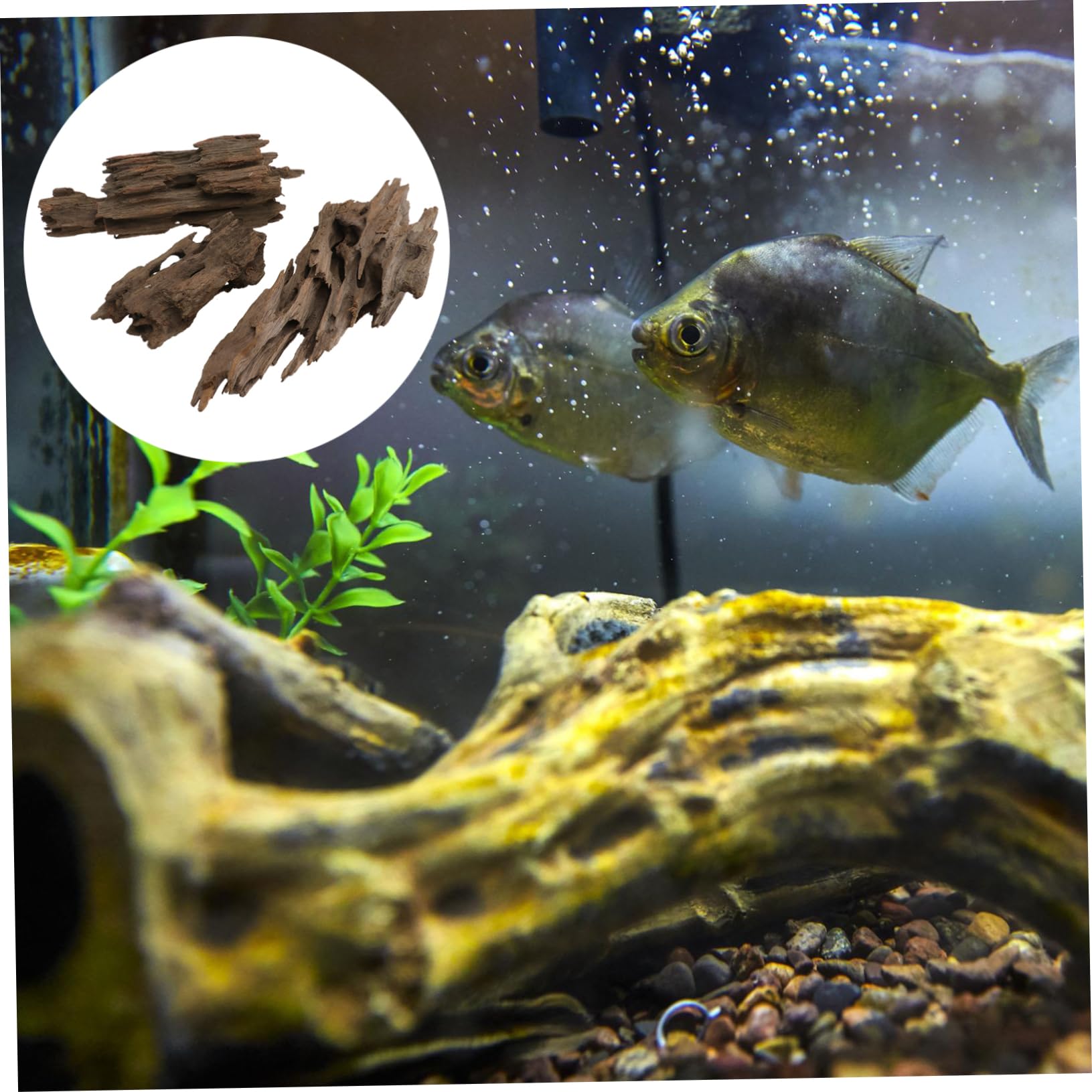 TOYANDONA Bolsa de Troncos Huecos de Madera Natural para Adorno de Acuarios, Refugio para Peces y Camarones, sin Decoloración, Forma Aleatoria, 500g