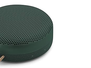 Amazon.com: Bang & Olufsen Beoplay A1 1297895 Portable