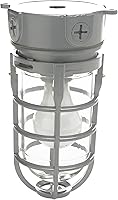 Woods L1706 Vandal-Resistant Ceiling Mount Security Light - 150W Incandescent, All-Metal Cage, Tempered Glass, Silver