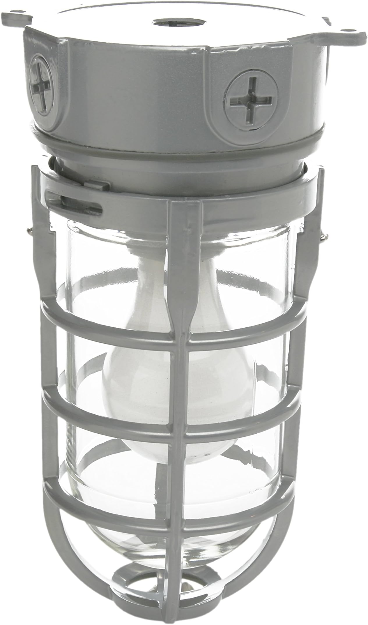 Woods L1706 Vandal Resistant Security Light With Ceiling Mount (150W Incandescent Bulb, Silver)