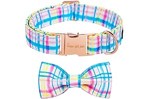Unique Style Paws Easter Dog Collar Boy