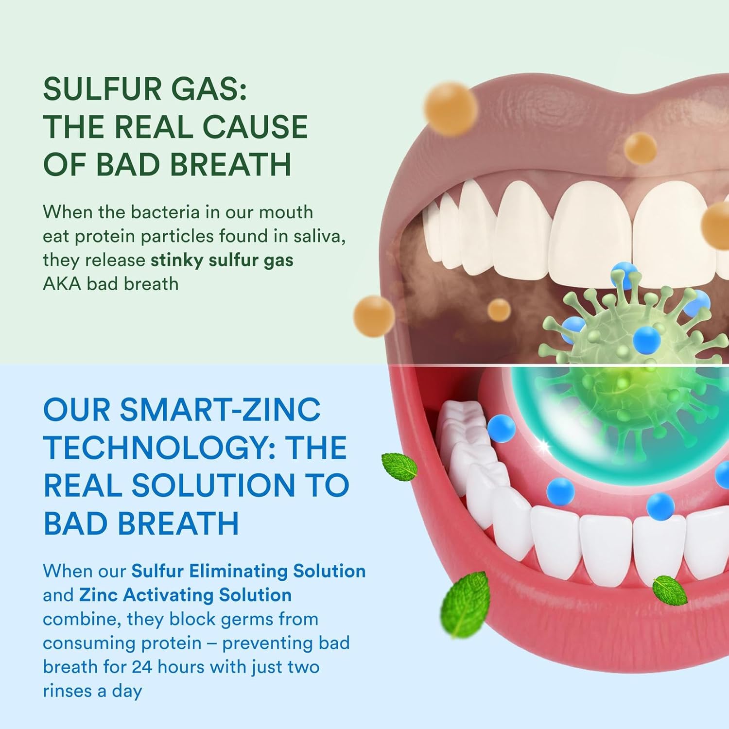 SmartMouth Package with Mouth Sore Activated Mouthwash - 16 Fl Oz, Cool Mint & Clinical DDS Activated Mouthwash - 16 Fl Oz, Clean Mint & Original Activated Mouthwash - 16 Fl Oz, Fresh Mint