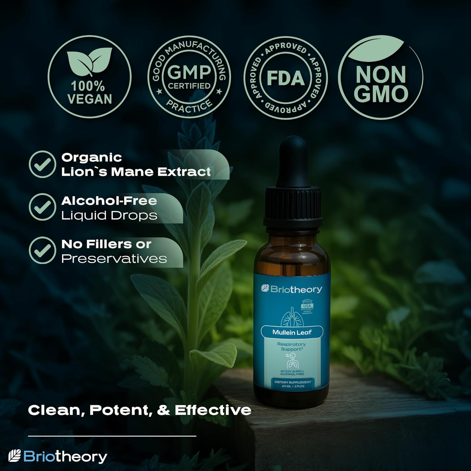 Mullein Leaf Extract - Fast Absorbing Liquid Drops for Lungs, Natural Respiratory Support Herbal Supplement, Alcohol Free Vegan Non-GMO, Natural Mullein Leaf Extract - 60 ml - Image 3