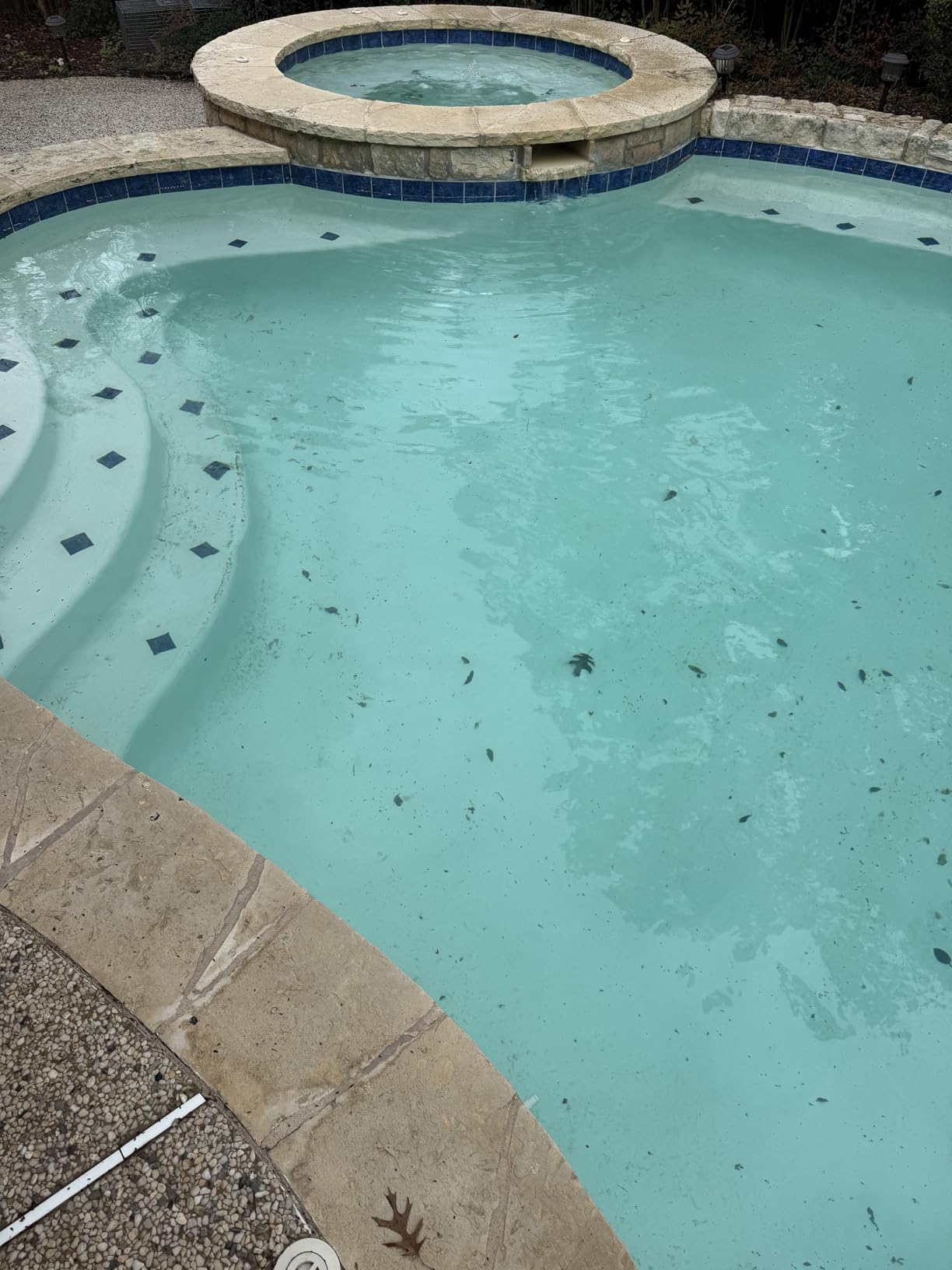 Aiper Scuba S1 wall and waterline cleaning