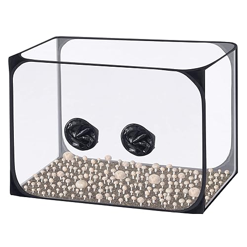Caja de aire de 35.5 x 23.5 x 23.5 pulgadas, contenedor de cultivo de hongos, caja de cultivo portátil, kit de tienda de cultivo de hongos para