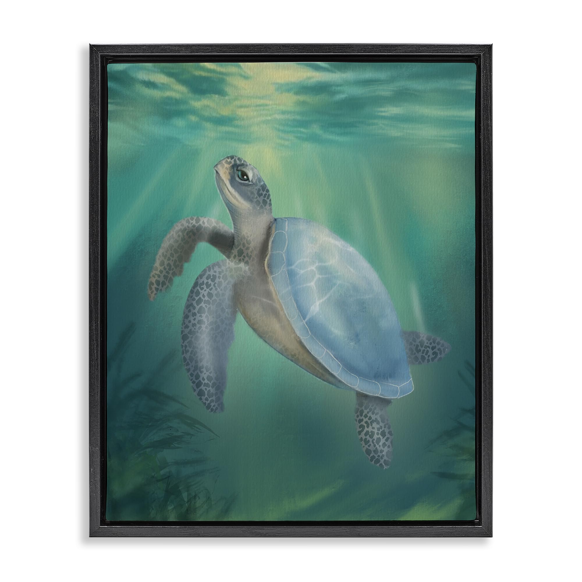 Stupell Industries Jet Black (Matte) 'Coastal Beach Sea Turtle'| Floating Frame Canvas Art