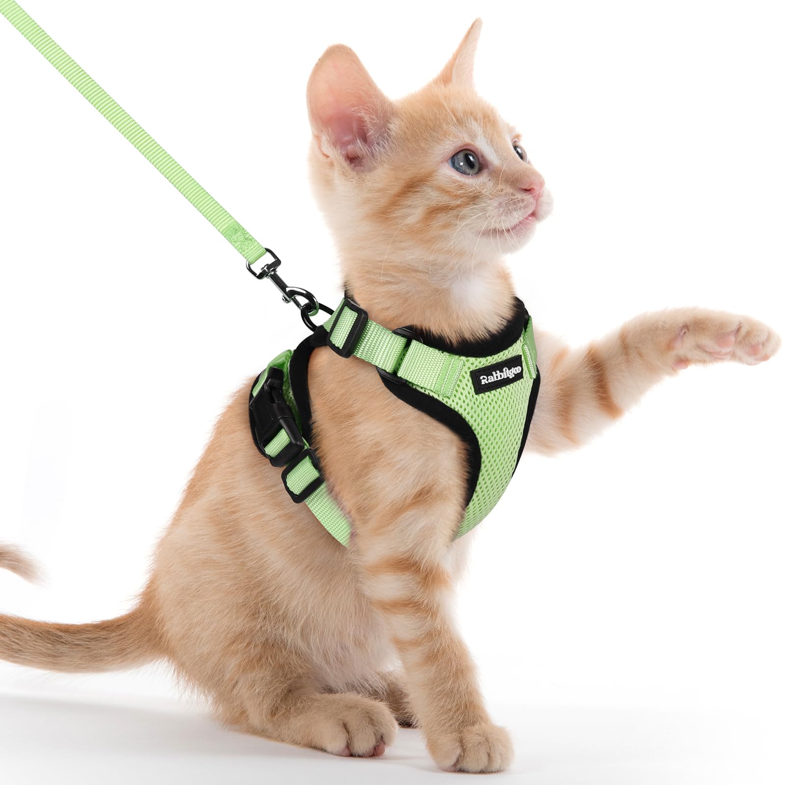 rabbitgoo Cat Harness and Leash Set, Escape Proof Vest, Light Green