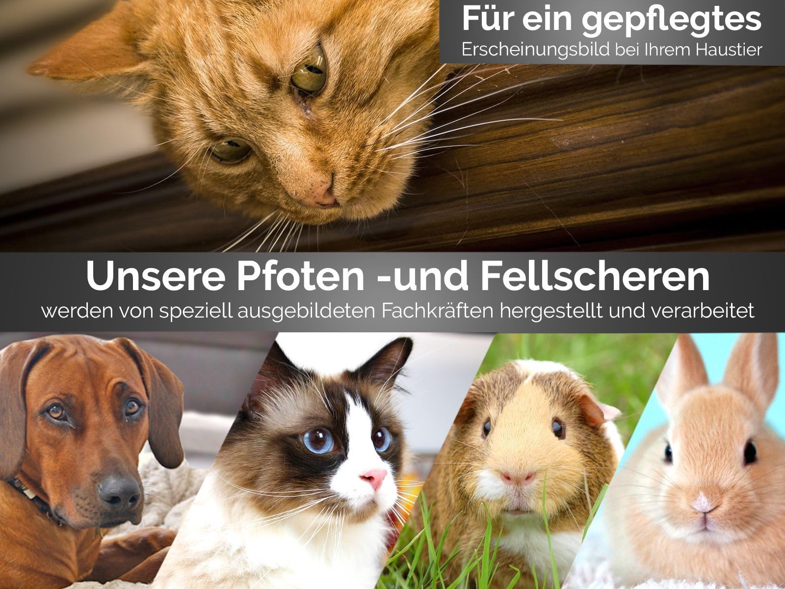 Pfotenschere Hunde Fellschere aus Solingen mit Mikroverzahnung, Haarschere mit gerader Schnittfläche und abgerundeten Spitzen 10,5 cm