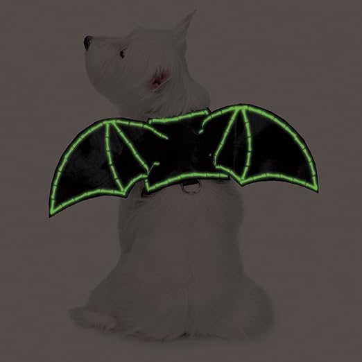 bat wing dog harness