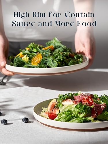 Miniatura 4 de DOWAN Juego de 6 platos llanos blancos de 10.5 pulgadas, platos de cerámica con motas, platos de comedor grandes para carnes, surtidos, pasta,