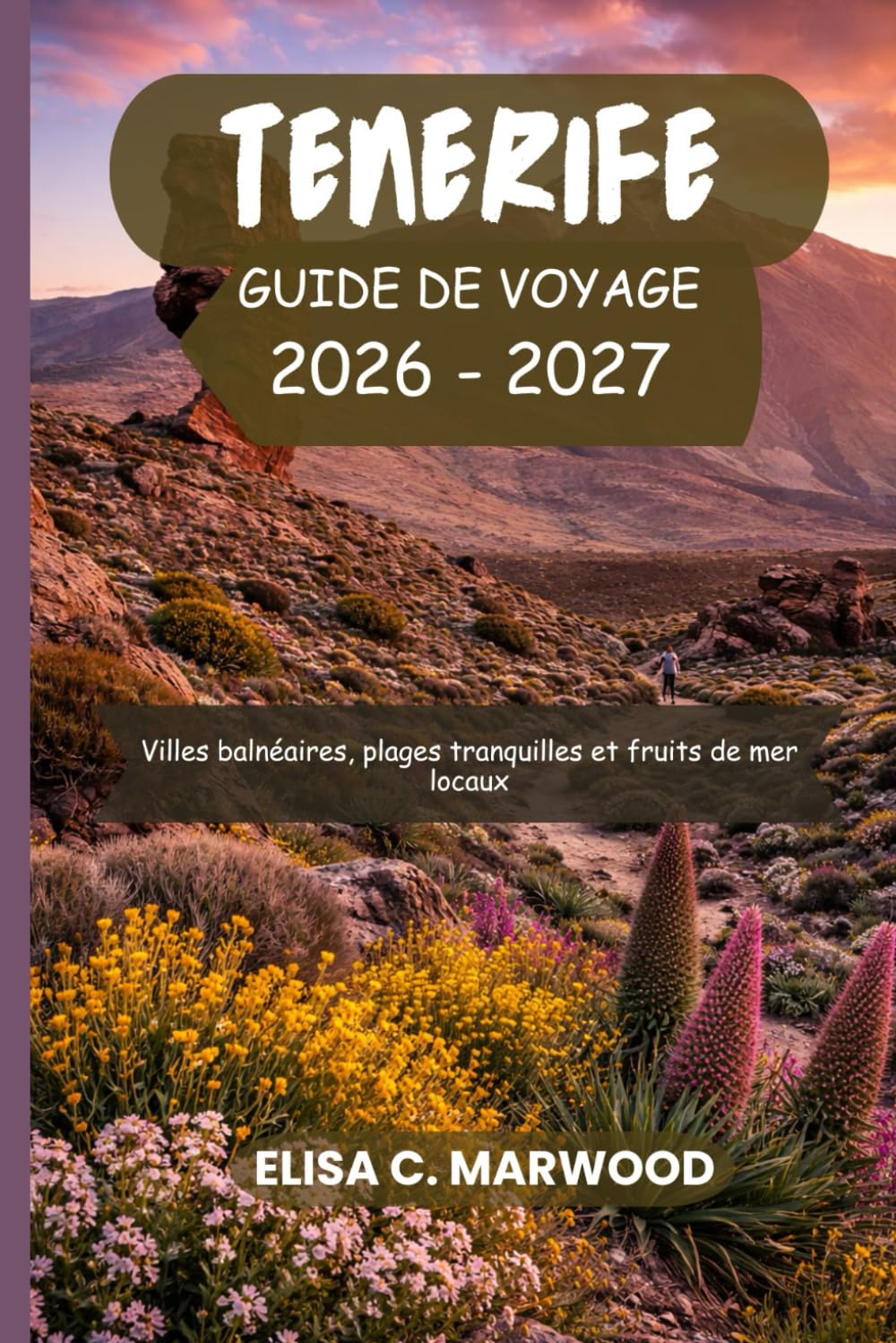 Tenerife Guide de voyage 2026-2027: Villes balnéaires, plages tranquilles et fruits de mer locaux