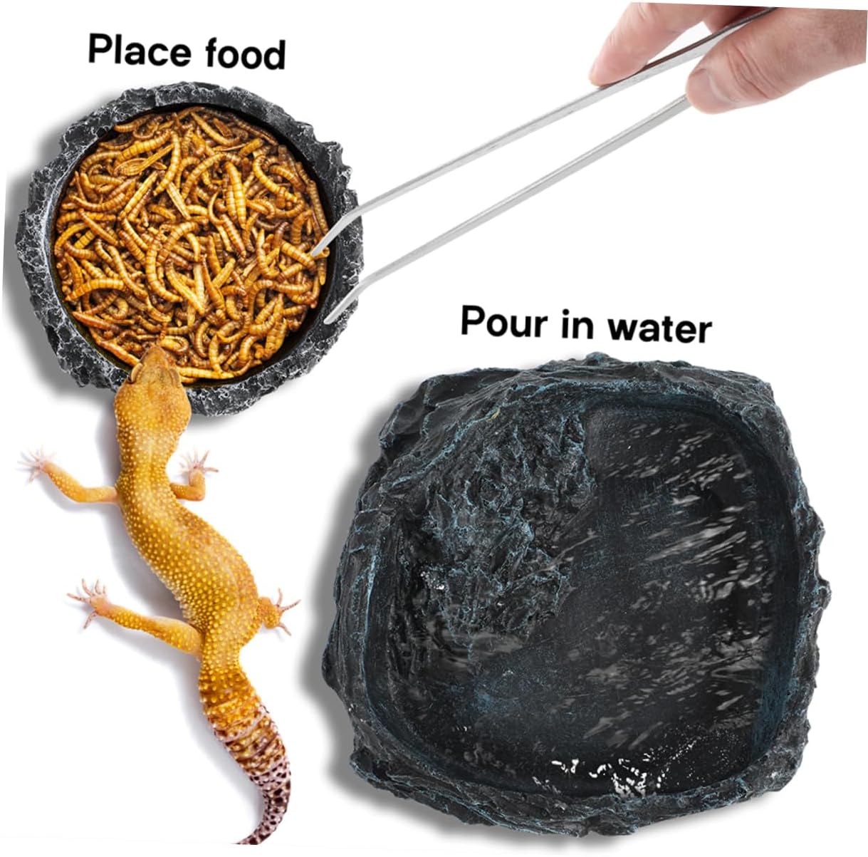 Bearded Dragon Tank Kit Reptile Water Dish Chameleon Feeder Crab Water Dish Reptile Feeding Bowl