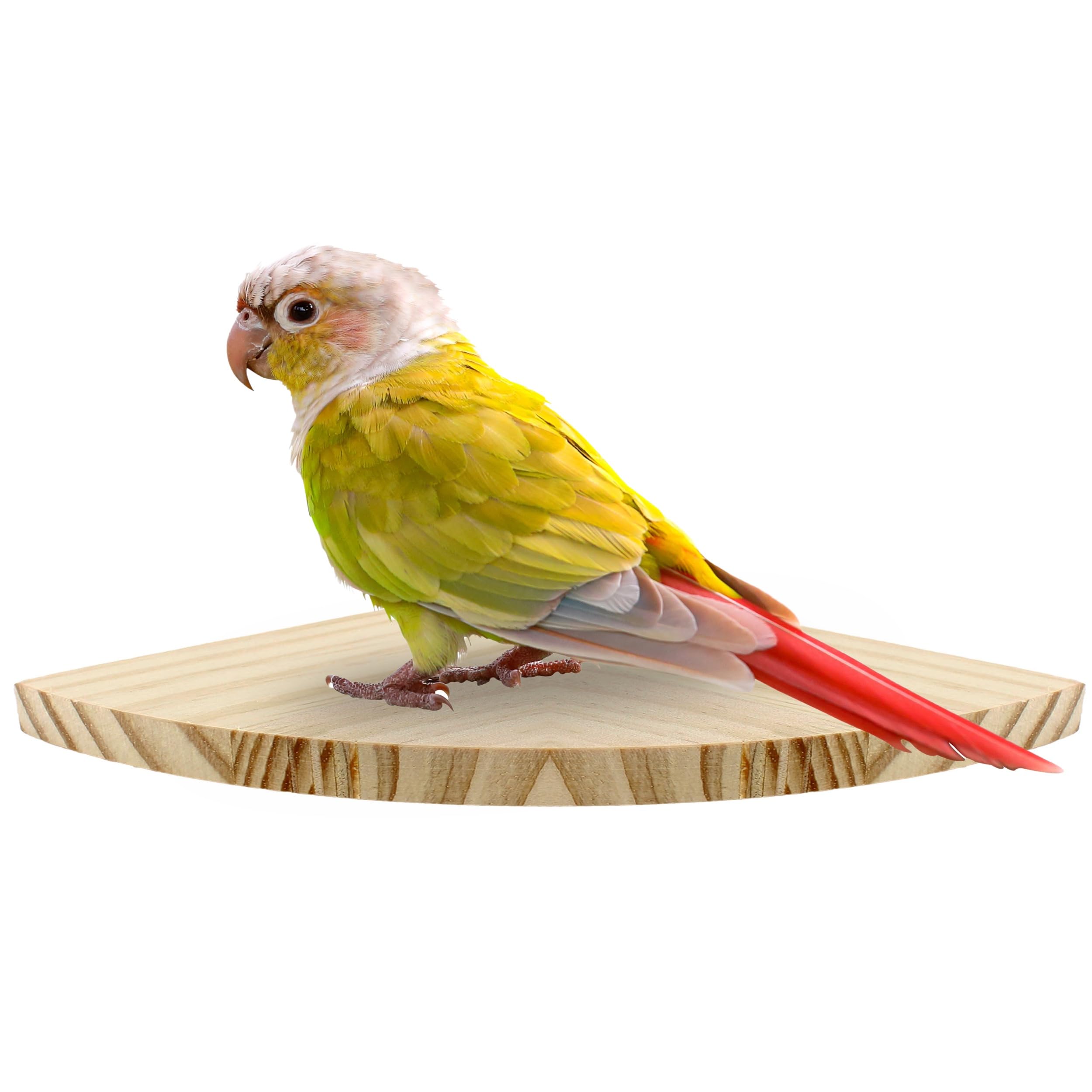 Bird Perch Corner Stand for Bird Cage Corner Platform Wood Bird Perches Corner Shelf Rest for Birds Parrots Cockatiels and Other Animal Pet Cages (Wood, Flat - Large)