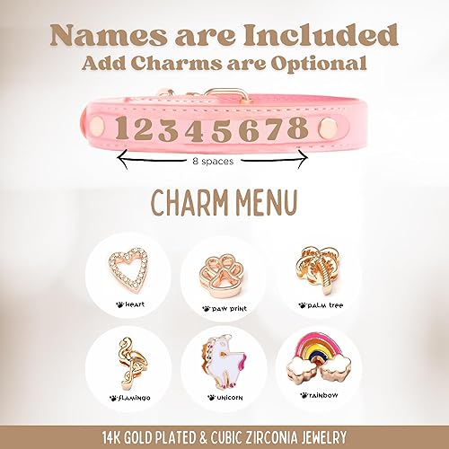 Miniatura 5 de Paws Paws Miami Collar de perro para perros pequeños, collar de perro hembra con nombre en joyas tachonadas, collar de perro pequeño rosa neón,