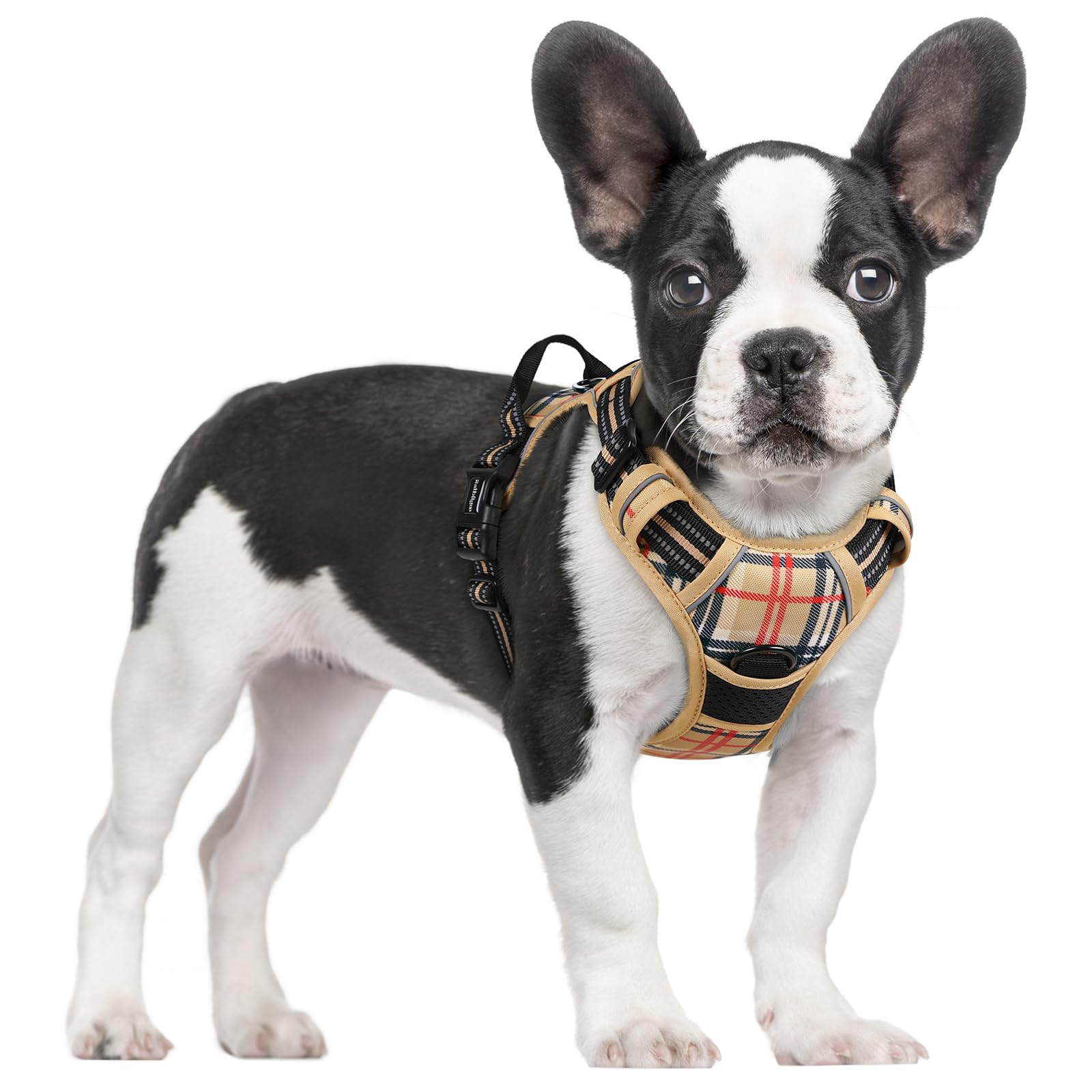 rabbitgoo Dog Harness, No Pull for Small Dogs with 2 Leash Clips, Pet Vest