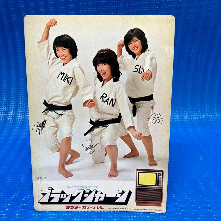 昭和レトロ! アイドル下敷きセット Amazon.co.jp: 昭和レトロアイドル キャンディーズ 下敷きノート