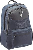 Amazon.com: Victorinox 606736 Altmont Original Standard Backpack