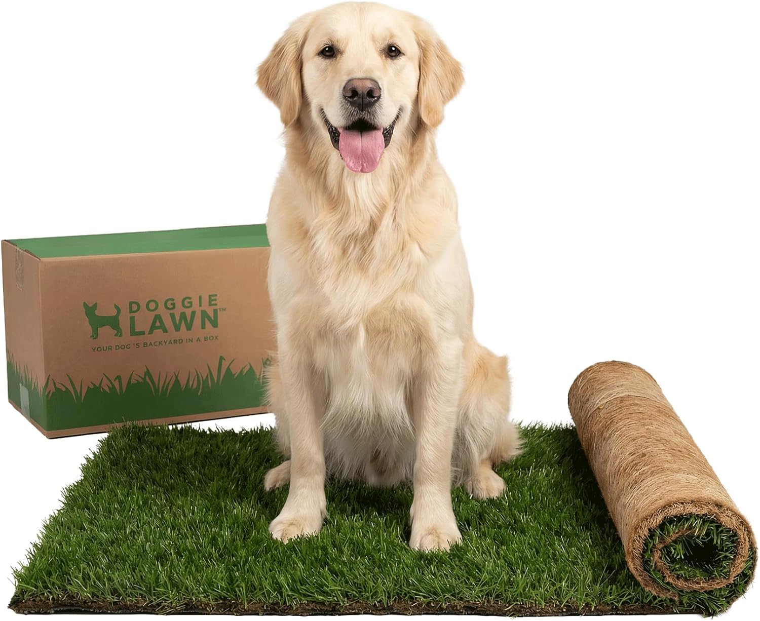 DoggieLawn Dog Potty - Real Grass - XLarge 24x48 inches