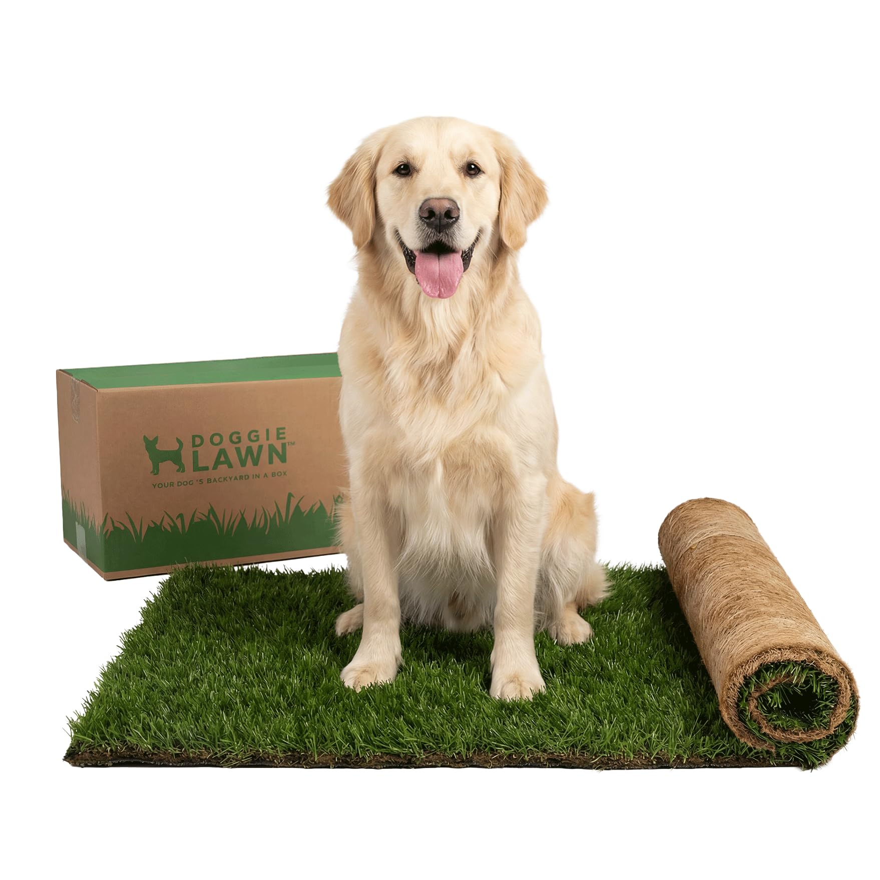 DoggieLawn Dog Potty - Real Grass - XLarge 24x48 inches