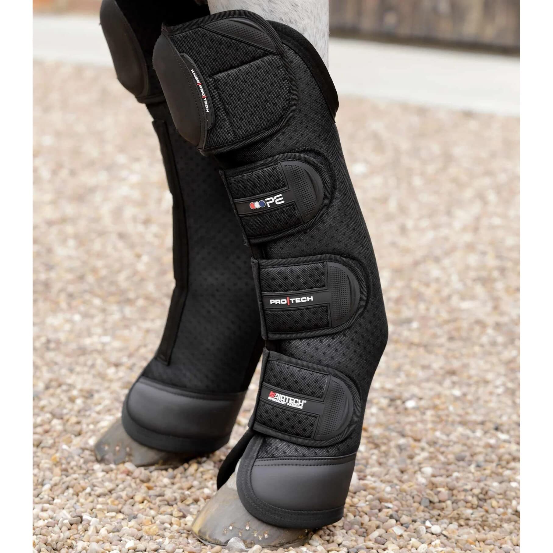 Premier Equine Botas de Transporte para Caballos Airtechnology