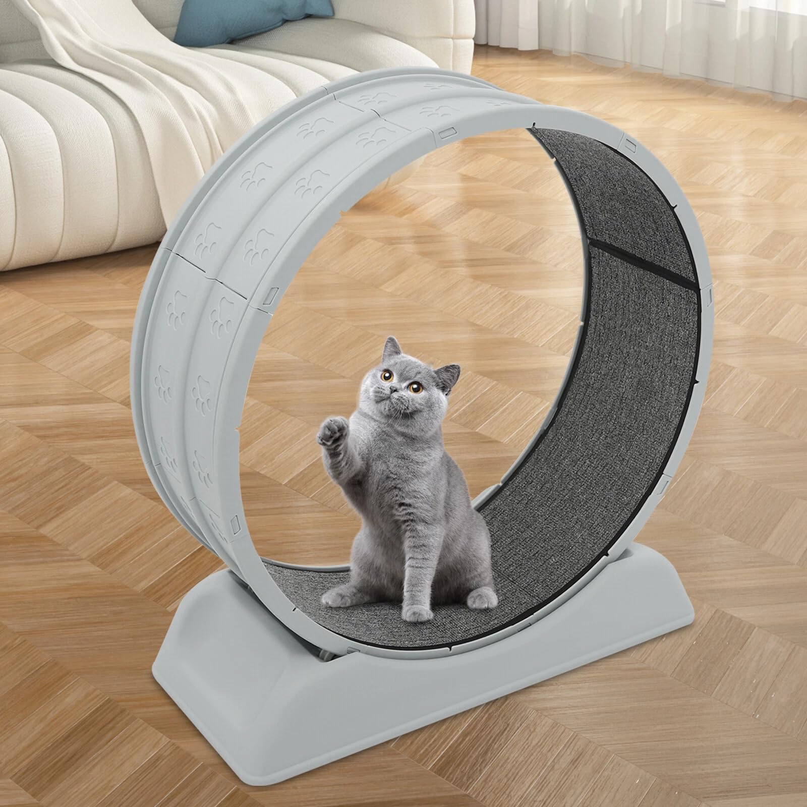 Bicicletta per gatti 80 cm – Grande e silenziosa per gatti d'appartamento, robusta bicicletta fitness con fibbia di sicurezza, incluso tappeto e carillon – Adatto per gatti fino a 10 kg (grigio)