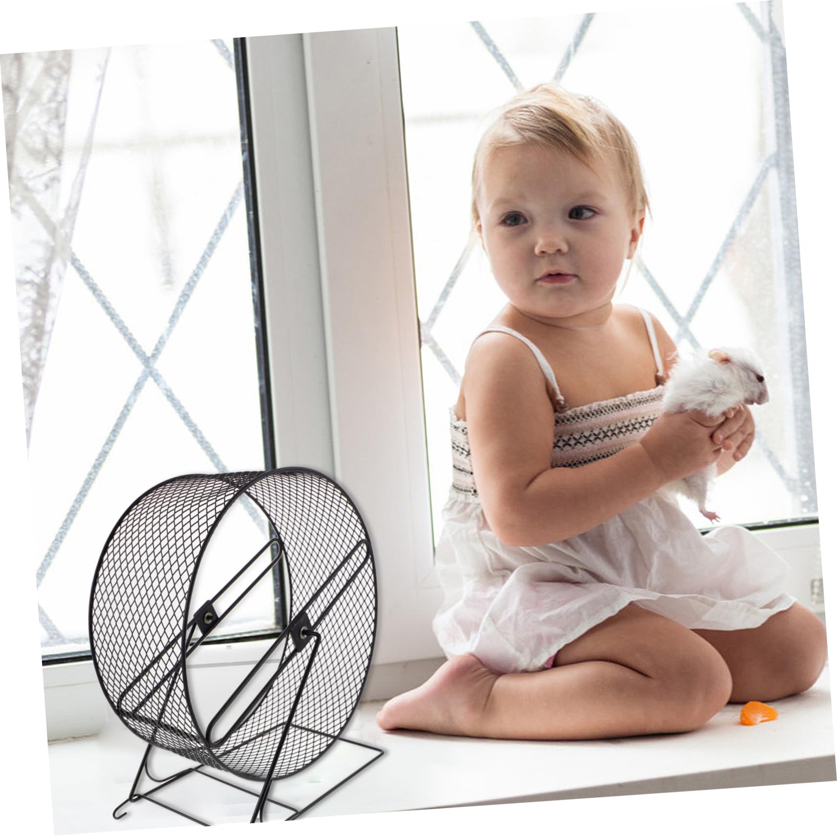 Fer Roue Silencieuse pour Exercice Sûr, Hamster pour Petits Animaux