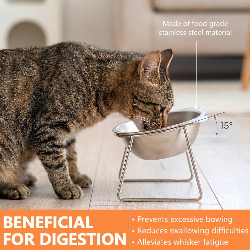 2 Pack Elevated Cat Bowls, 15° Tilted Stainless Steel Raised Cat Dishes for Food and Water, Whisker-Friendly Design with Non Slip Base and Scoop for Small Cats and Dogs