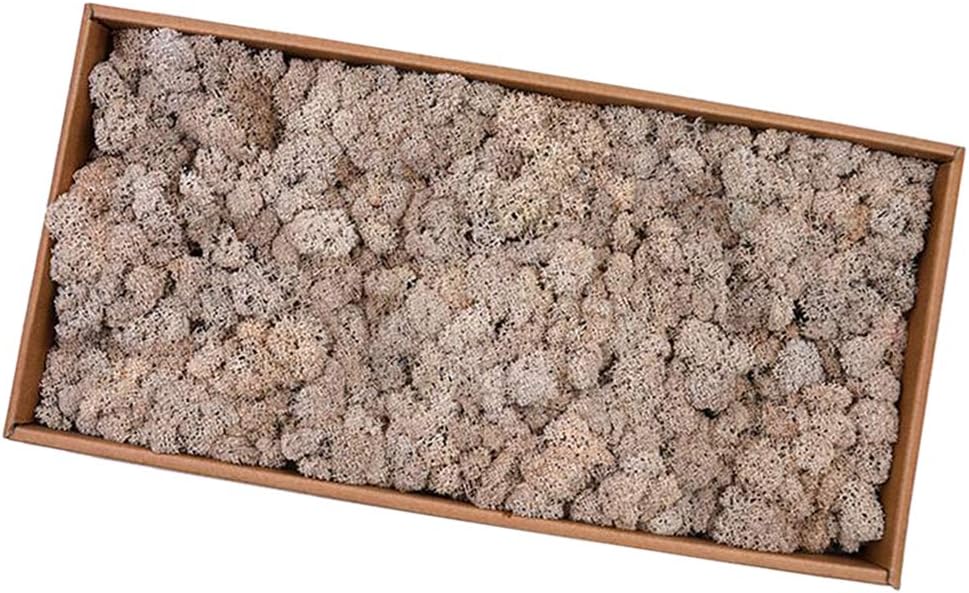 Dried Moss Craft Flower Reindeer Moss Craft Hanging Baskets Plants Floral Gardens Wedding Christmas Decor Home Decor (Coffee)
