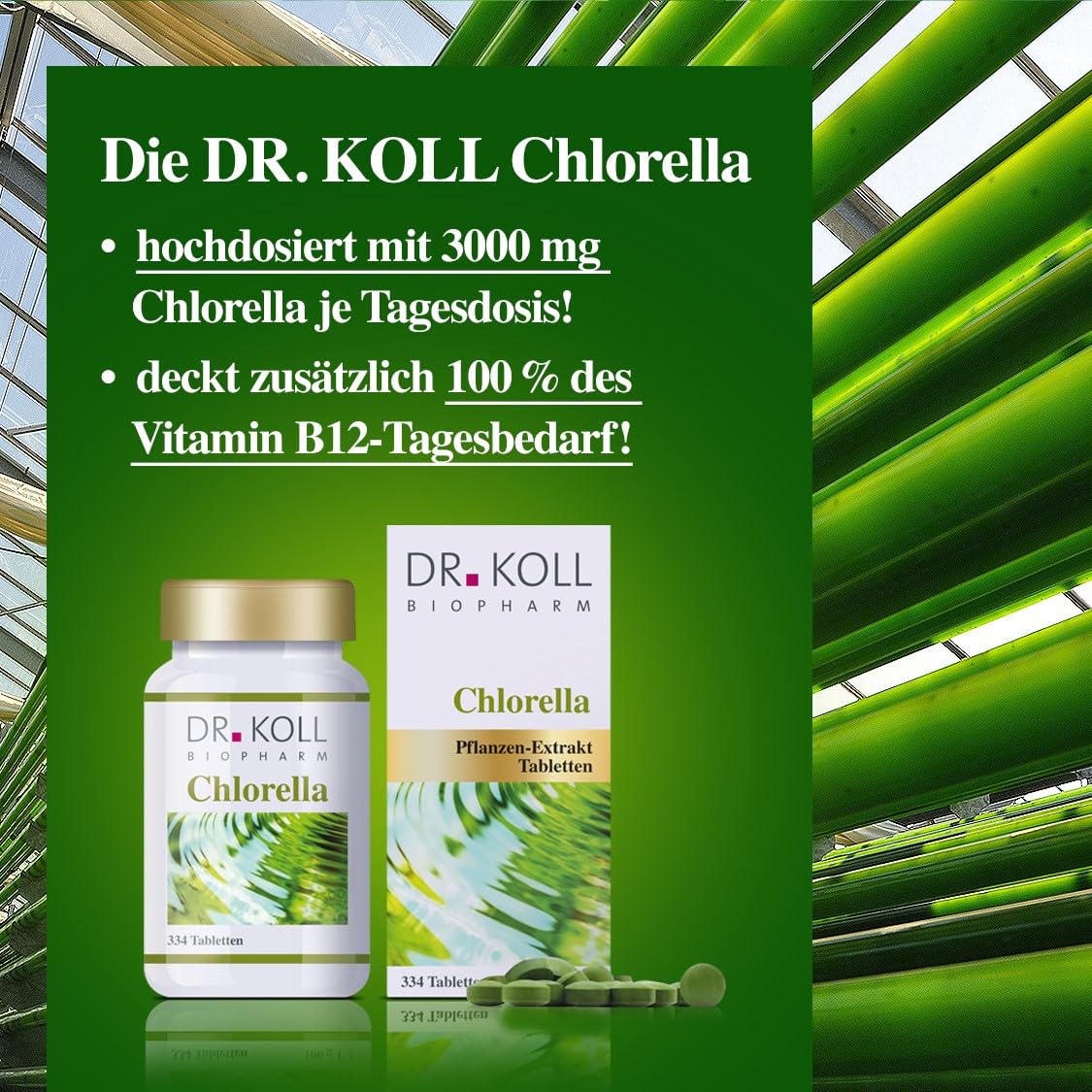 Dr. Koll Bio Chlorella Tabletten – Natürliches Nahrungsergänzungsmittel 100% Chlorella vulgaris | Hochdosiertes Vitamin B12 Supplement | 334 Tabletten Made in Germany