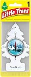 Little Trees Air Fresheners, True North (Pack of 12)