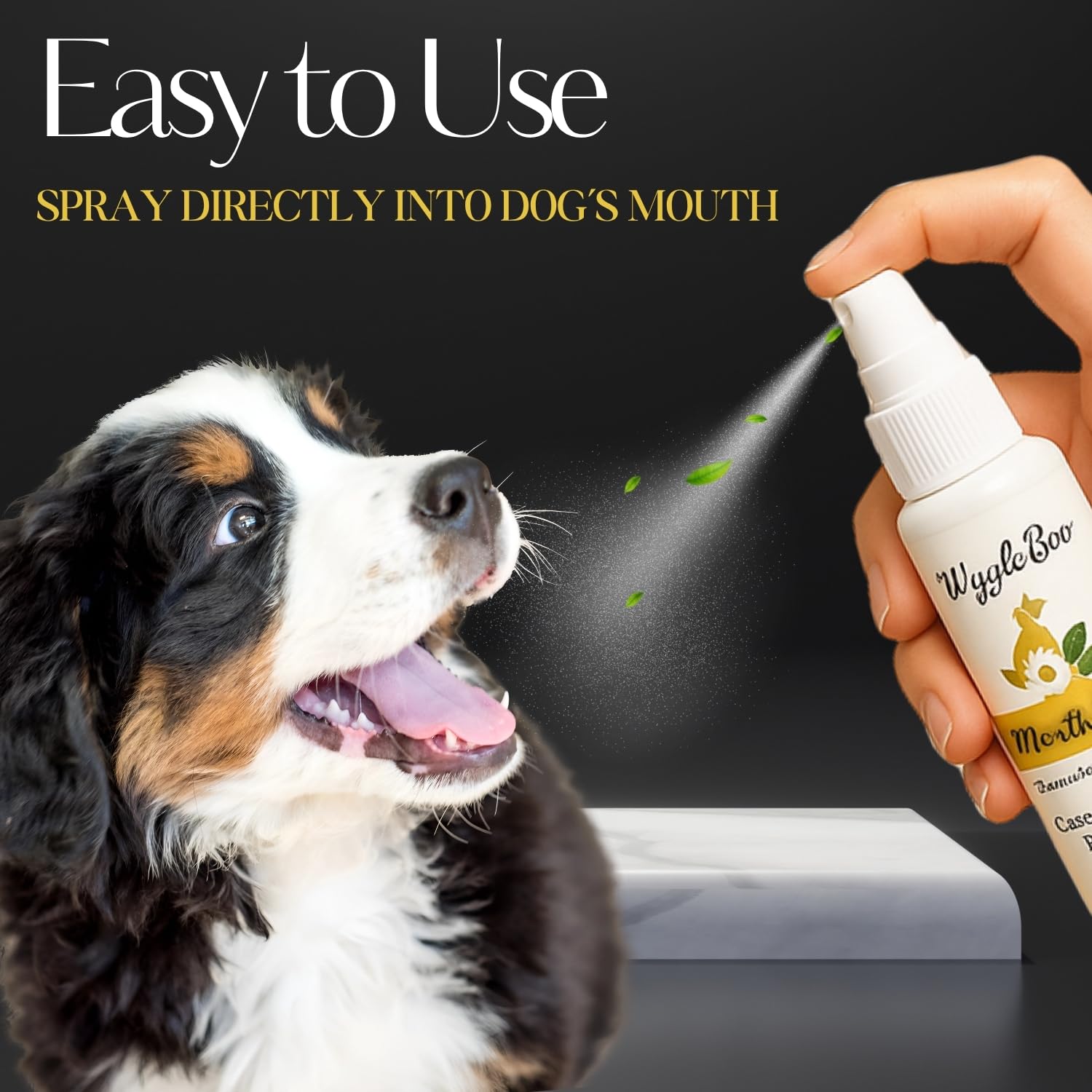 WiggleBoo Dog Mouth Spray | Spearmint & Peppermint Oral Care | Easy Brushless Dental Spray for Dogs & Cats | Reduces Plaque, Tartar & Bad Breath | Supports Gum Health & Daily Hygiene | 100ml 2