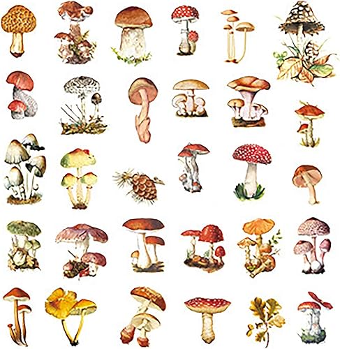 Miniatura 6 de 60 calcomanías de hongos para laptop, Doraking DIY hongos, plantas, calcomanías para decoración de ventanas, refrigerador, decoración (colección de