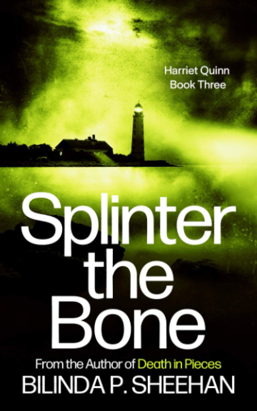 Splinter the Bone: A gripping crime thriller (DI Haskell & Quinn Crime Thriller Series)