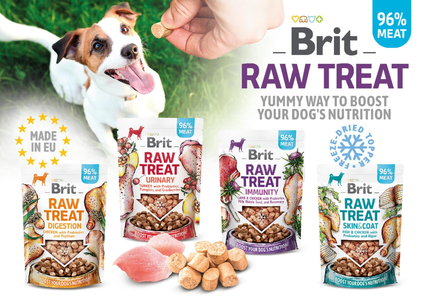 Brit Raw Treat - Urinario e topper, liofilizzato, tacchino, 40 g