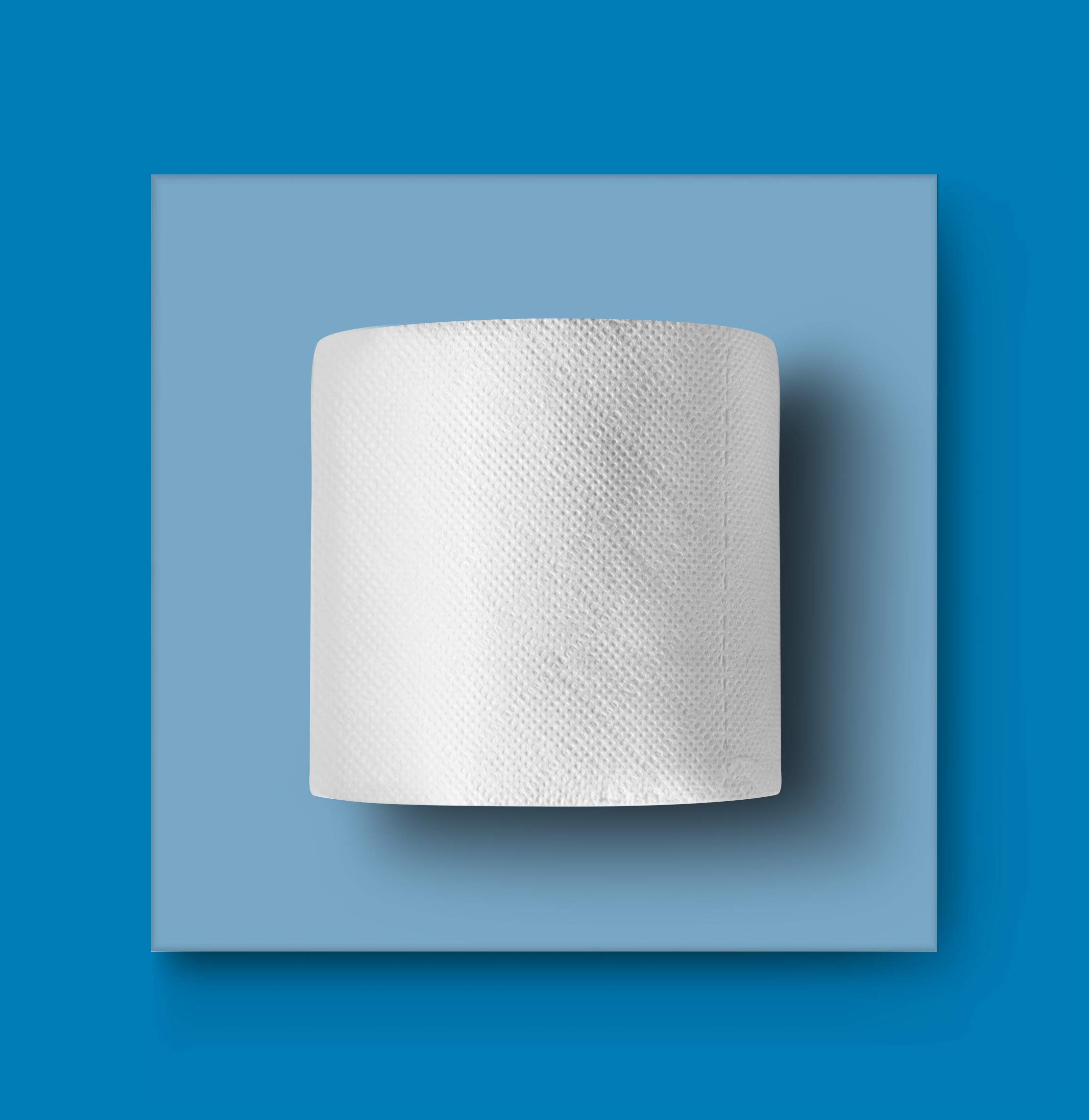 AmazonCommercial Rollo de Papel Higiénico 2 Capas de Celulosa 120 Rollos (12 Paquetes de 10) 180 Hojas por Rollo Tamaño de Hoja: 9,5 x 11cm Compatible con Dispensadores T4/T6