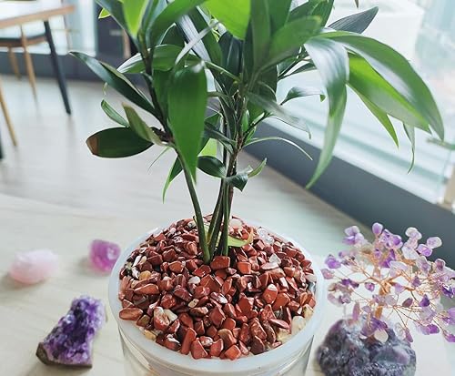 Miniatura 10 de ZHIYUXI Piedras de cristal de cornalina para pecera grava florero cristales triturados a granel piedras preciosas pulidas piedra de cuarzo natural