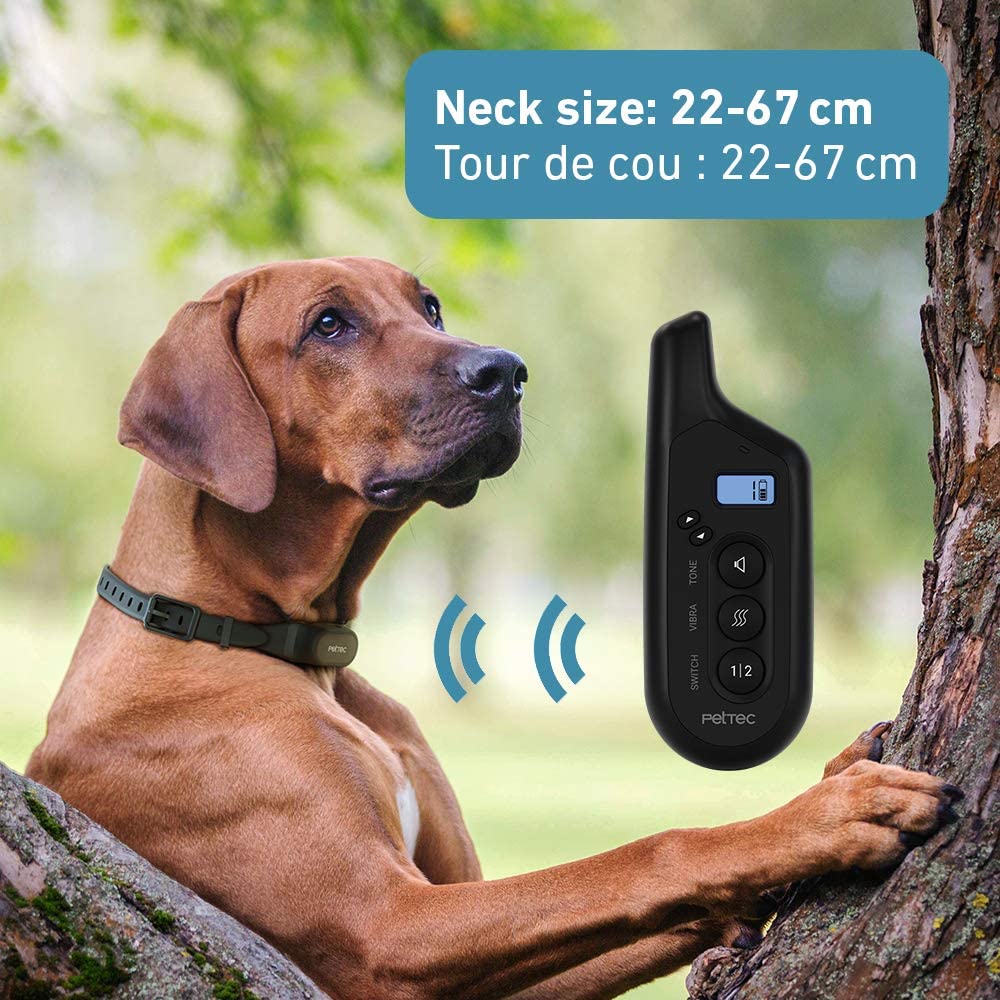 PetTec Collar de adiestramiento para Perros con vibración y señal acústica, Mando a Distancia de 300 m, batería Recargable y Resistente al Agua IPX7, 16 Niveles de Intensidad de vibración