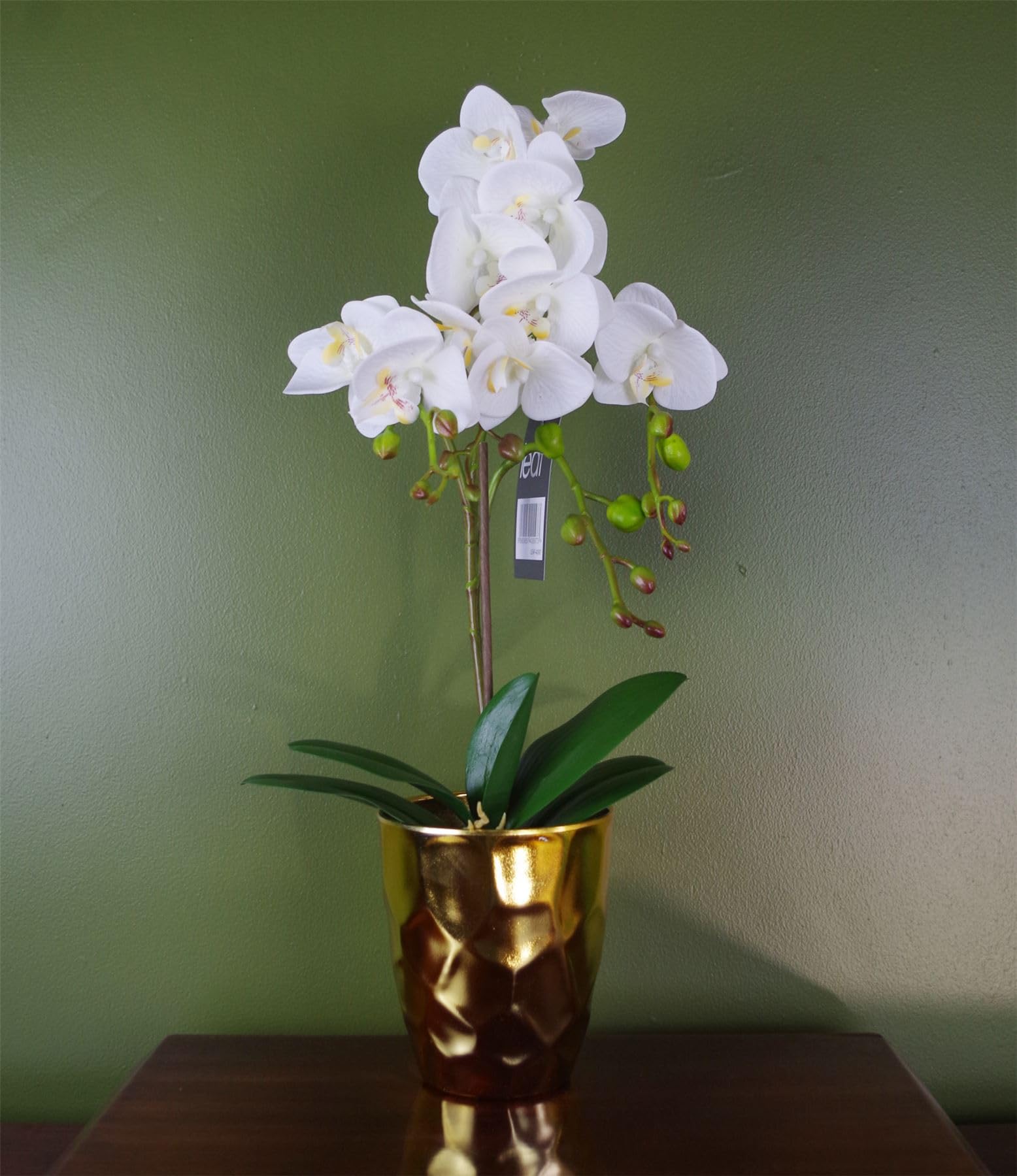 Realistic Artificial Orchid Plants Fully Potted