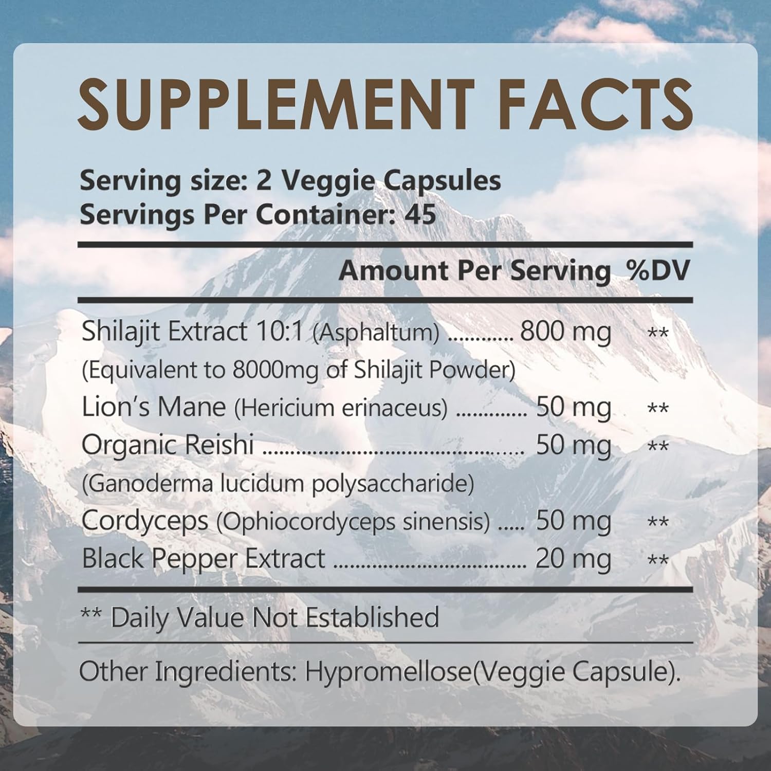 DR.YES Himalayan Shilajit Capsules for Men & Women, Support Energy & Immune, Vegan, Non-GMO, 90 Capsules - Image 2