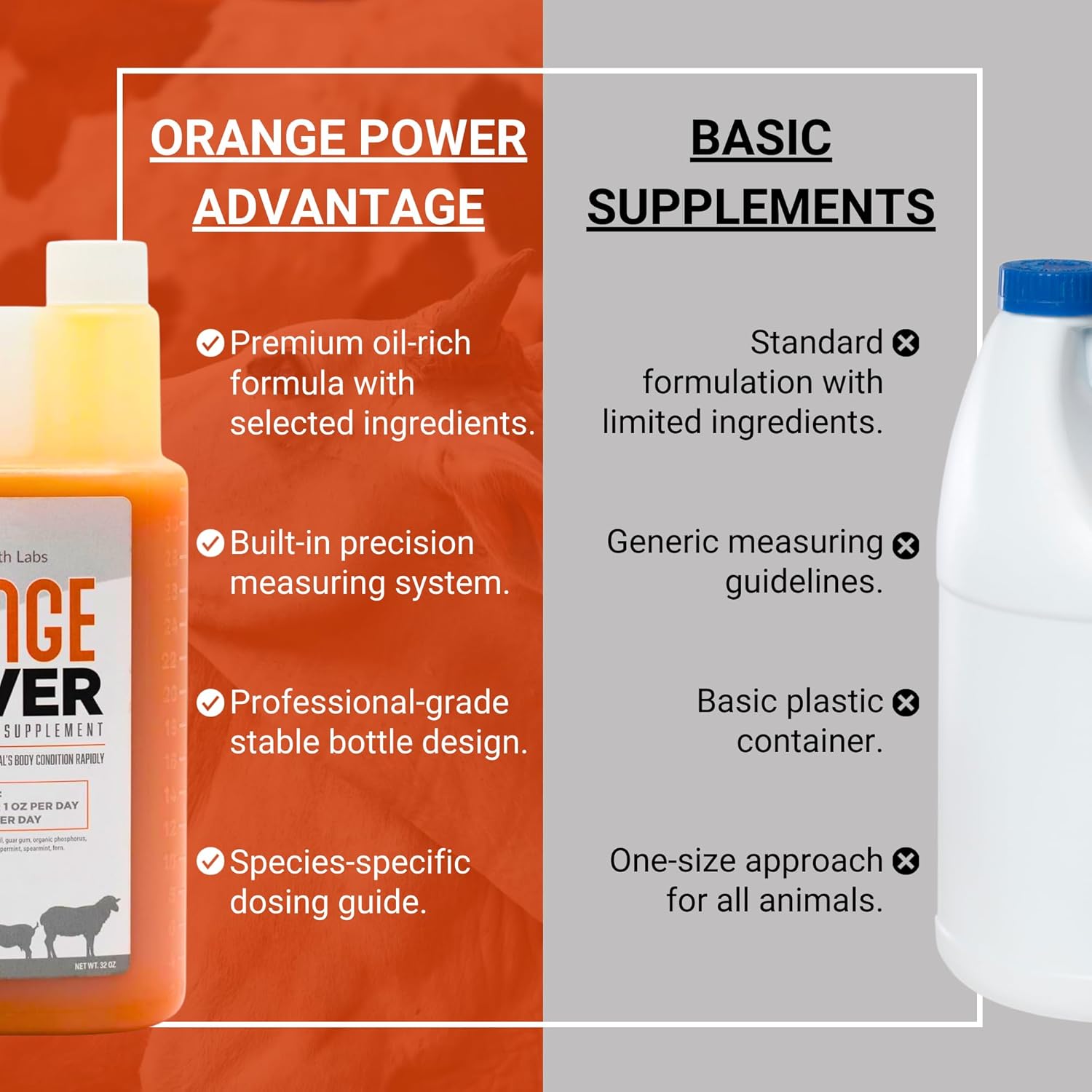Orange Power Nutrient Supplement for Show Cattle, Sheep, Goats and Pigs - Appetite Stimulant & Performance Booster - Liquid Formula with B12 & Phosphorus (32 Fl Oz.)