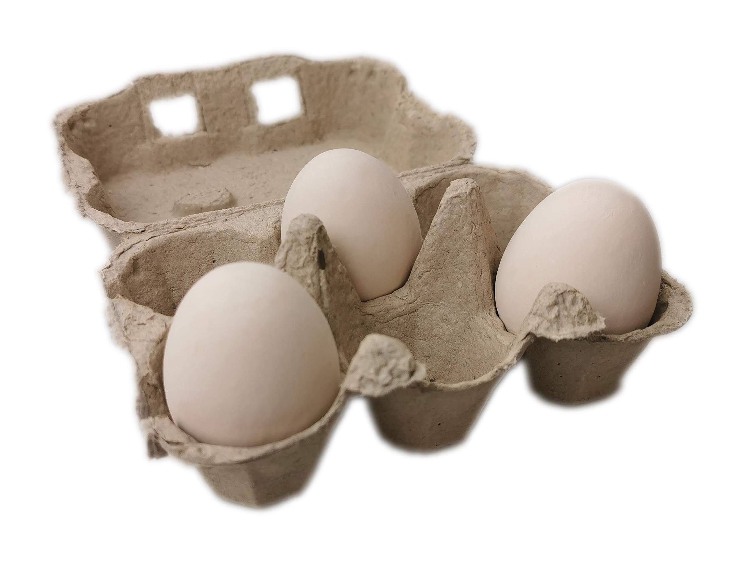 Ingbertson Papas para huevos – 50 unidades para 6 huevos cada uno | Cajas de cartón resistentes | Transporte y almacenamiento seguro de huevos de gallina (gris)