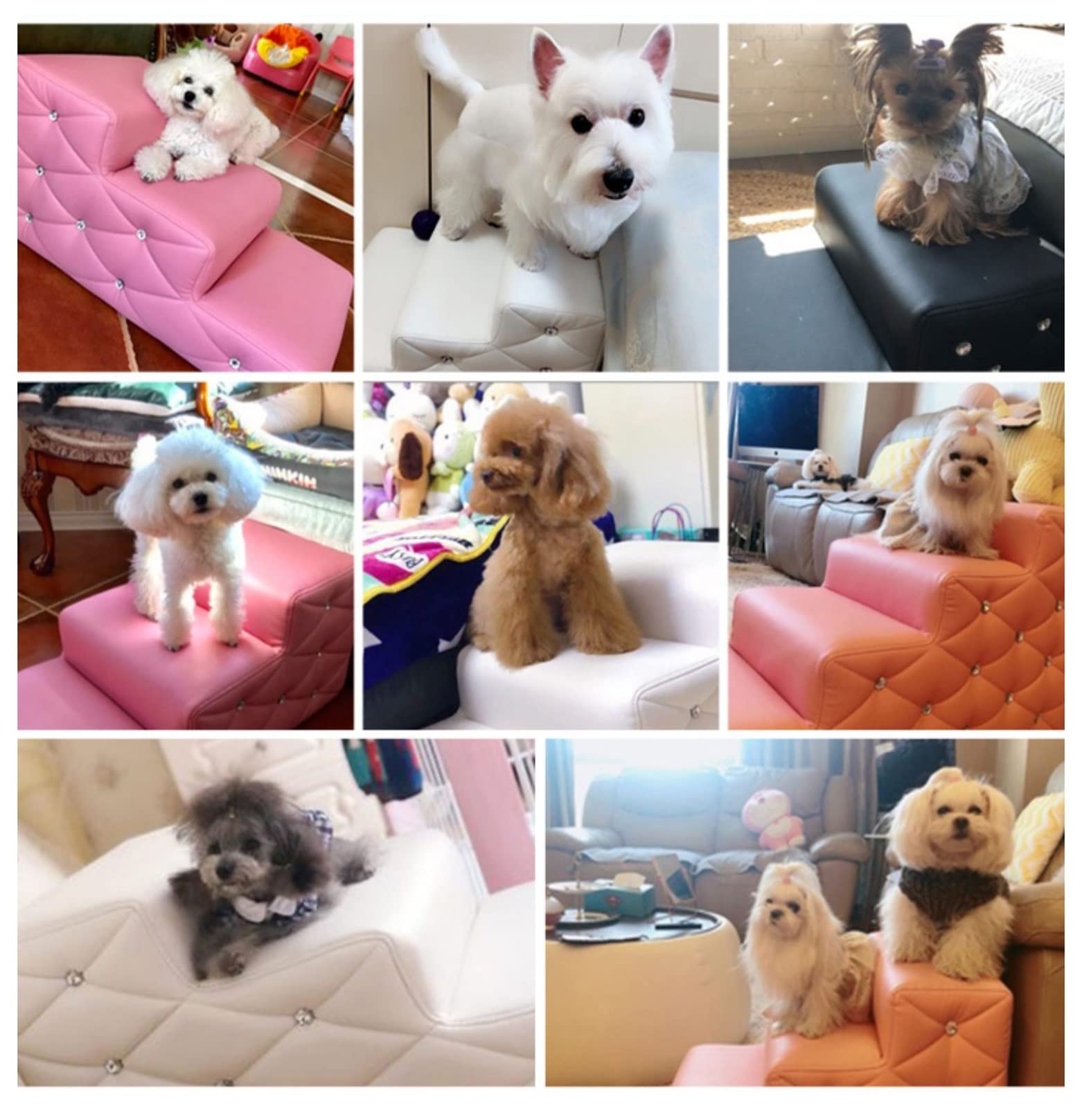 Scaletta antiscivolo per cani e gatti, scala a 2-4 livelli per un facile accesso a letto e mobili, in pelle resistente