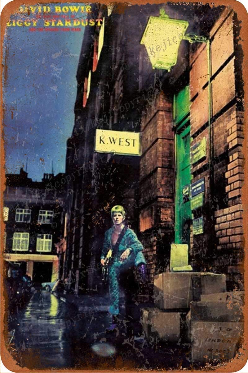 Targa In Metallo David Bowie 'Heroes' 20x30 Cm - Poster Vintage In Latta Per Decorazione Parete, Regalo Per Fan Di Musica, Idea Per Bar, Cafe, Garage