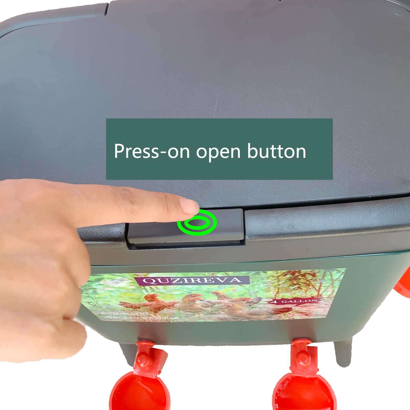 Alimentador automático de agua para aves de corral con flotador, autollenado, 4 galones, dispensador de fuente de agua para pollo, sistema de riego automático de pollo, paloma y pájaro con manguera y