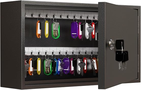WeHere 60-Keys Key Lock Box, Key Cabinet with Key Tags,Wall Mount Key Box