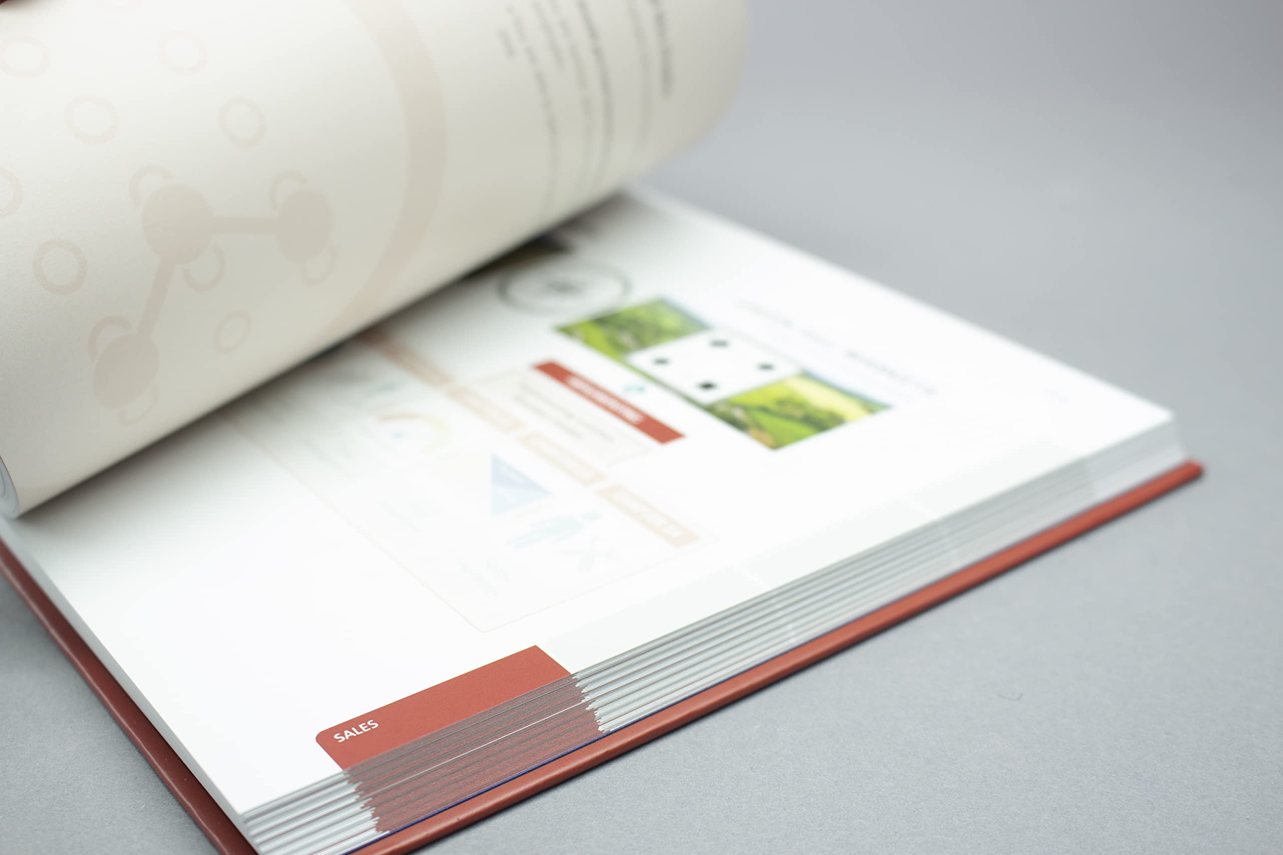 SALESTEGY (deutsche Ausgabe): SALES & STRATEGY verbinden – innovative Geschäftsmodelle zum Erfolg führen