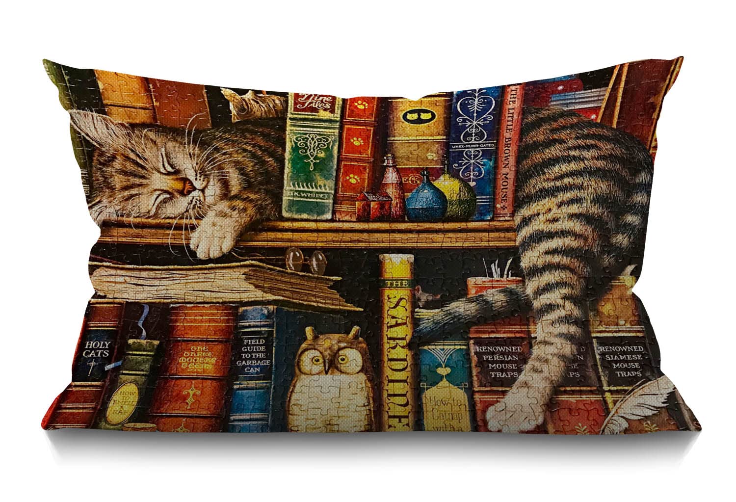 Bgbdeia Multi 156 Cat Cushion Cover Funny Cartoon Bookshelf Sleeping Cat Cotton Linen Decorative Rectangular Throw Pillow Cover Pillowcase For Sofa And Bed Couch 12"X20" 30 X 50 Cm