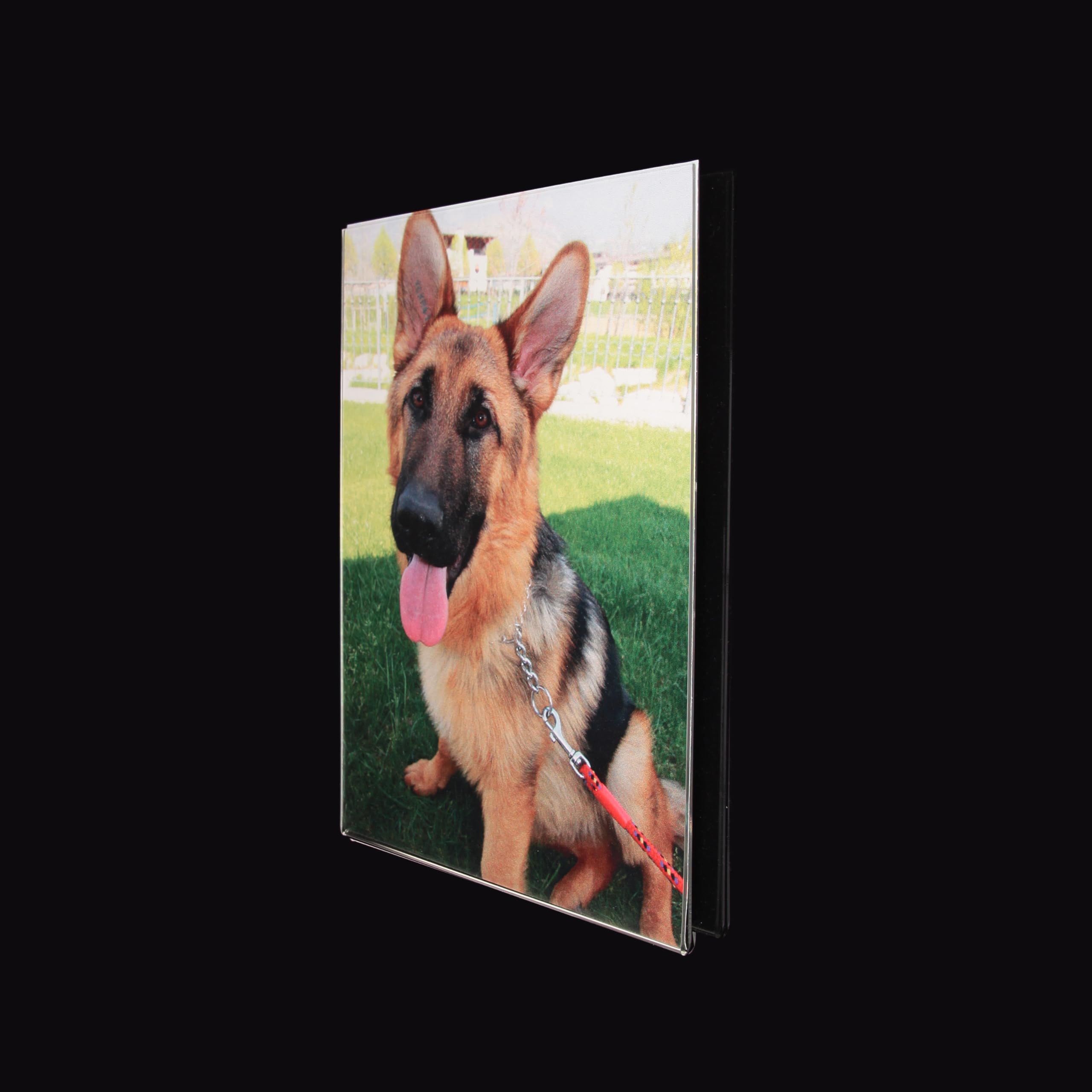 Portafoto da Parete Verticale e orizzontale in Plexiglass Trasparente – Cornice Senza Bordo per Foto, Poster, Avvisi e Certificati – Espositore da Muro Elegante e Moderno – Made in Italy (A3-Set 3 p)